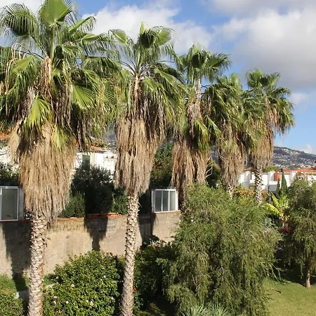 Patio Da Achada View * Funchal (Madeira)