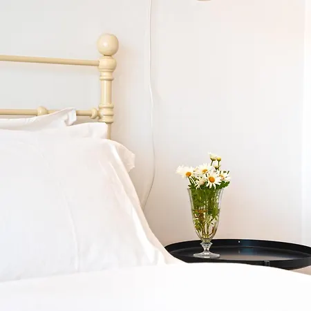 公寓 Patio Da Achada View 丰沙尔