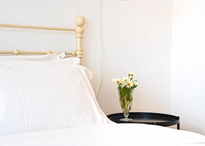 公寓 Patio Da Achada View 丰沙尔